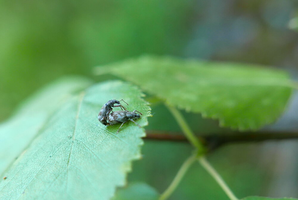 Photograph by Юрий Сычев
