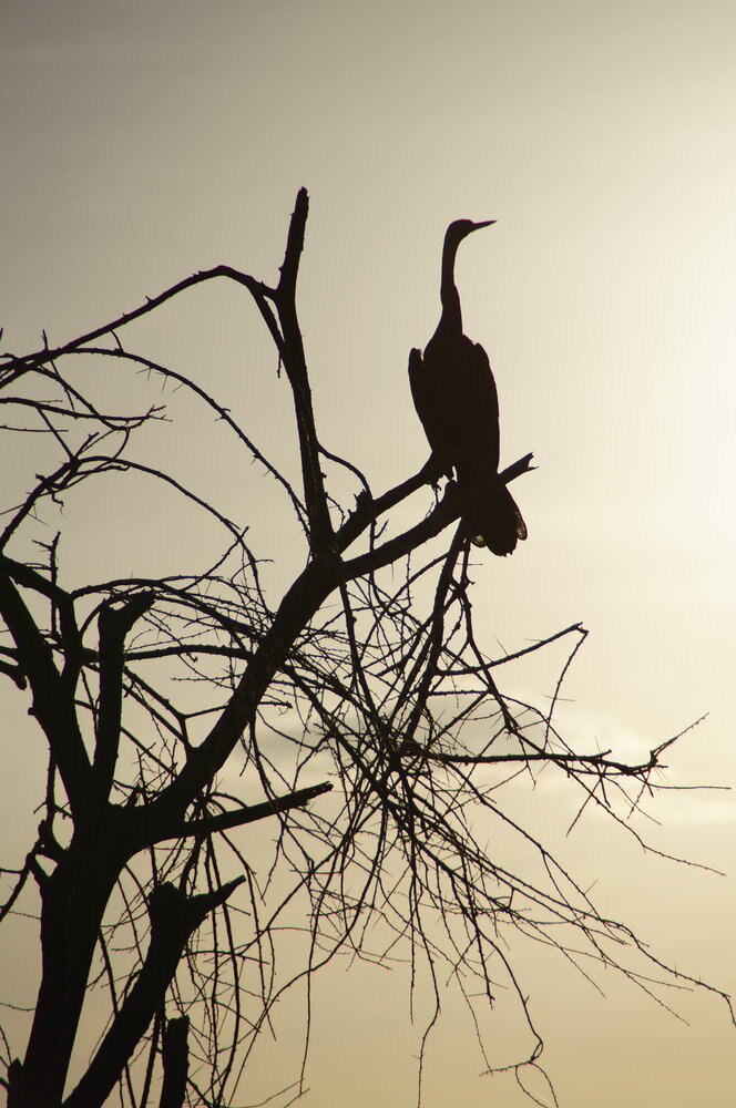 Photograph by Юрий Сычев