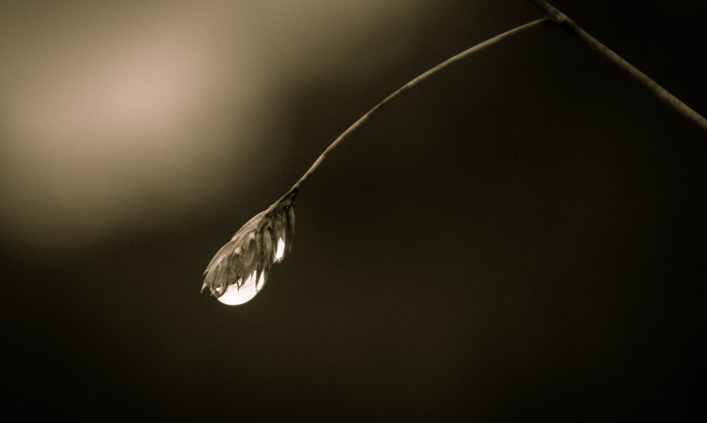 Photograph by Юрий Сычев