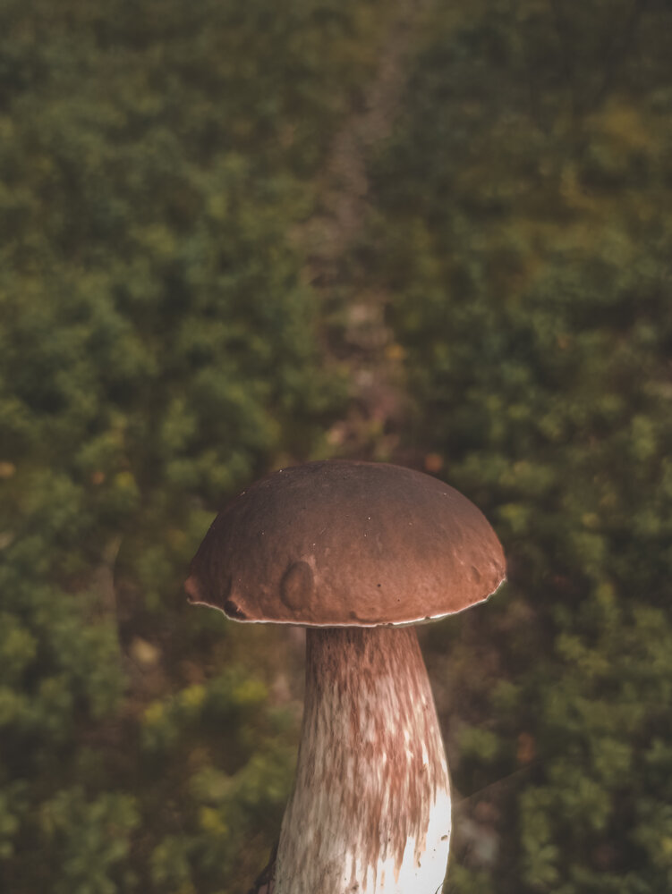 Photograph by Анастасия Май