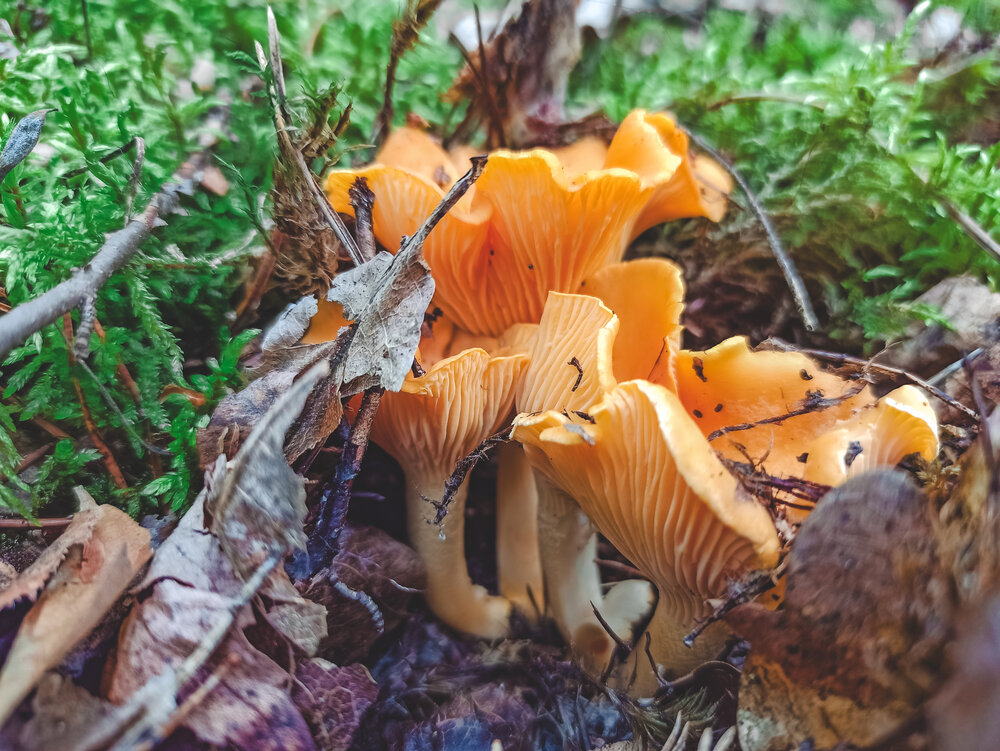 Photograph by Анастасия Май