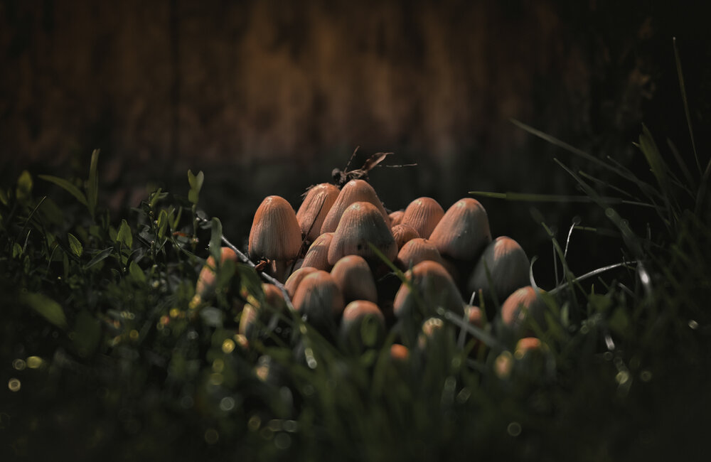 Photograph by Vladimir Frolov (1stMOD)