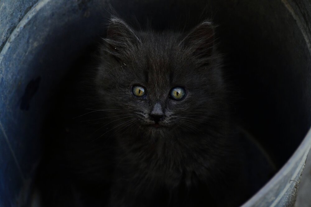 Photograph by Elena Mironova
