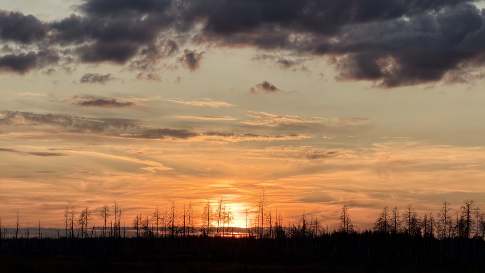 Photograph by Сергей Александрович