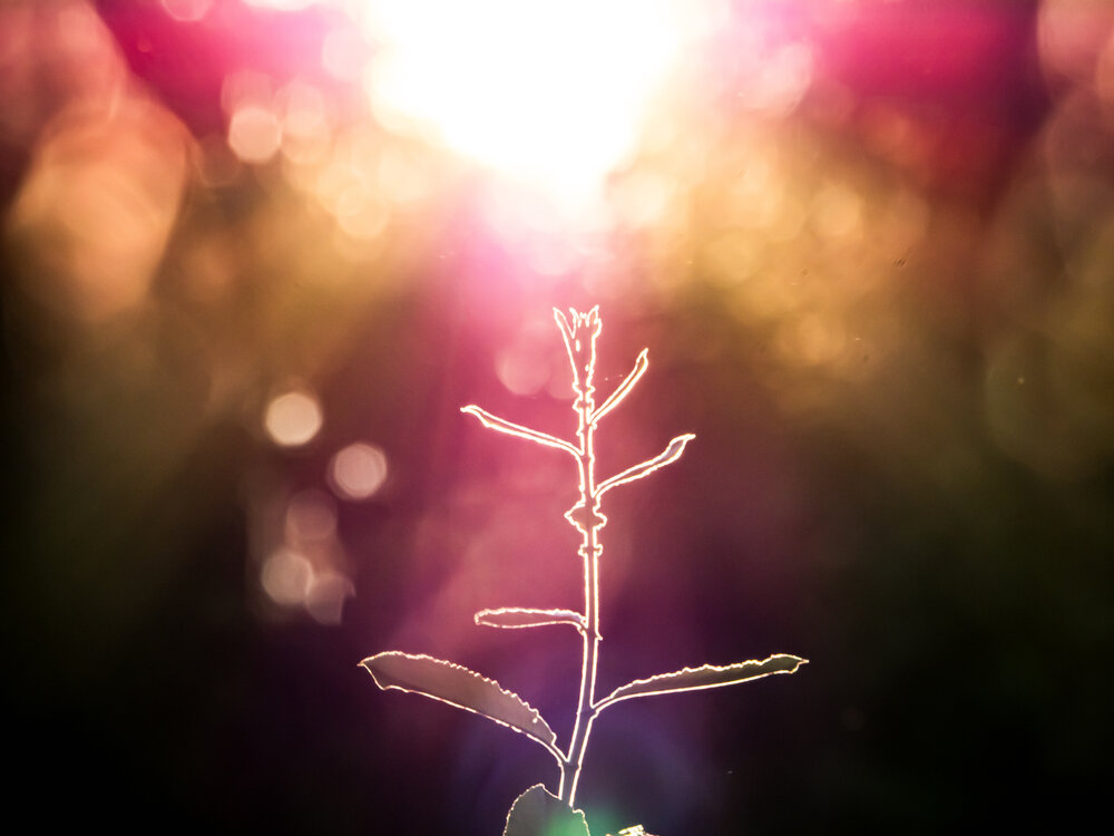Photograph by Anna Prohorova