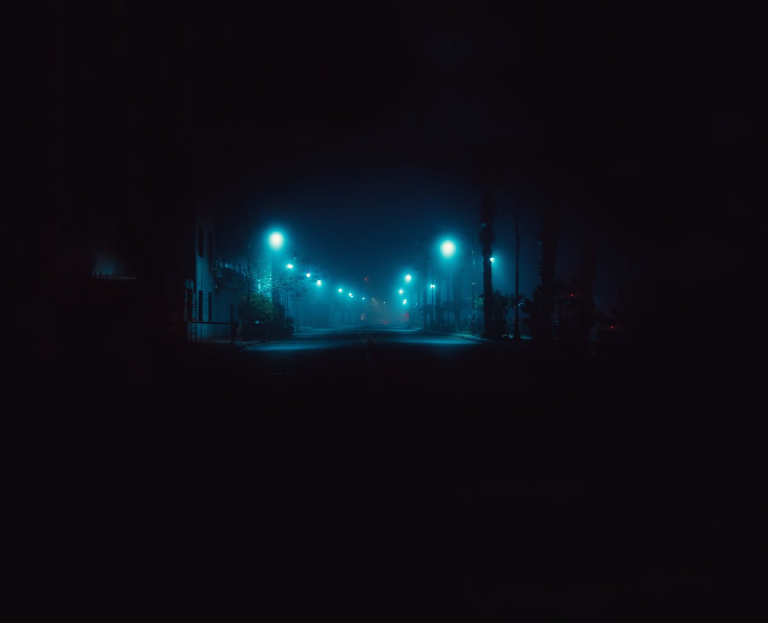 Photo #13927449