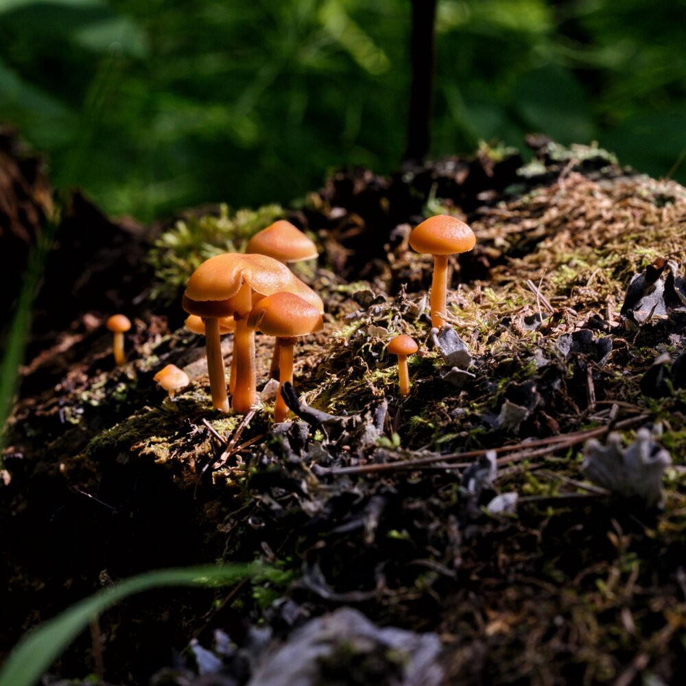 Photograph by Ксения Шилина