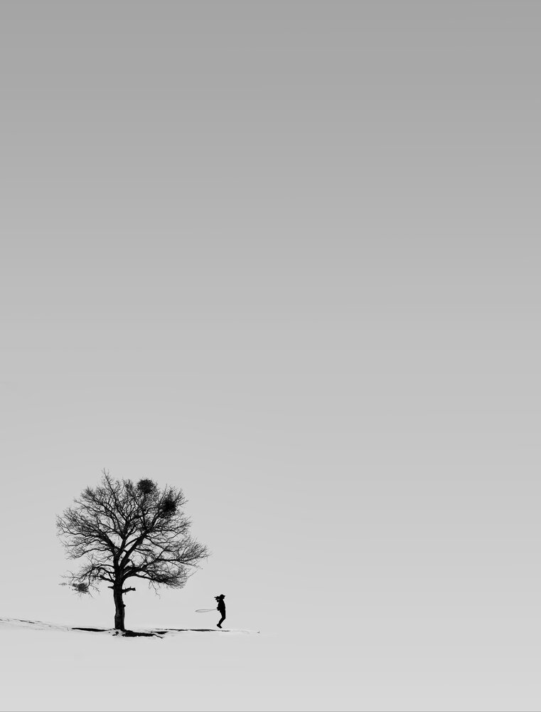 Фотография автора Abbas Kalantar
