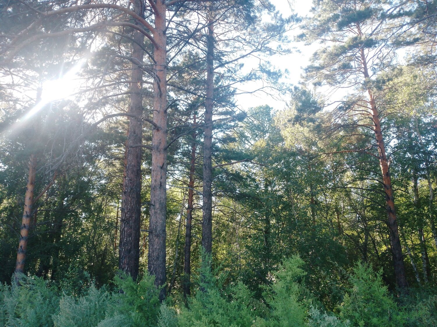 Photo #13927584