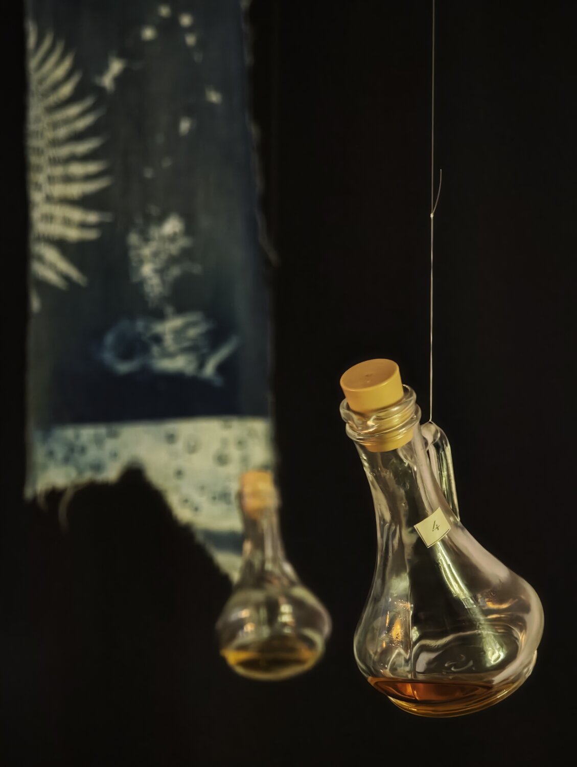Photo #13927657