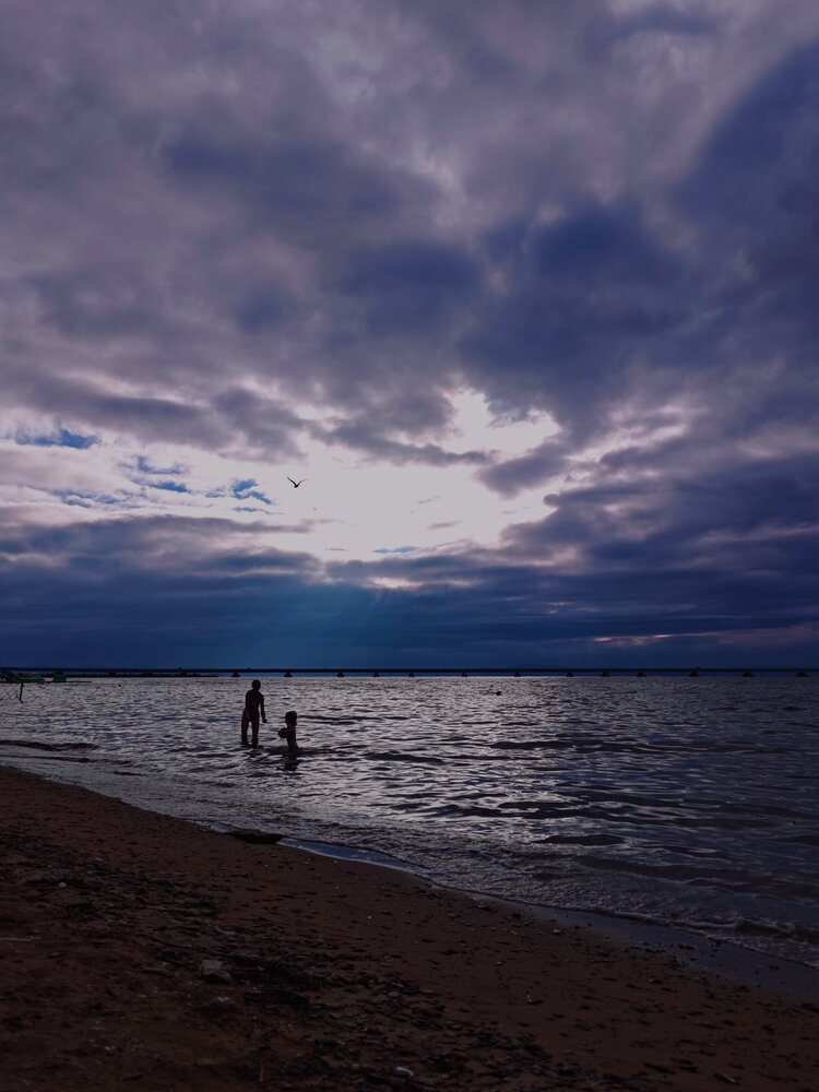 Photograph by Наливайко Татьяна