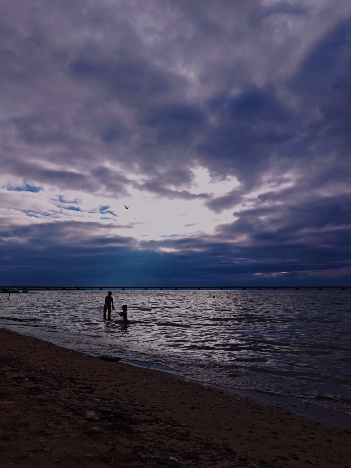 Photo #13927772