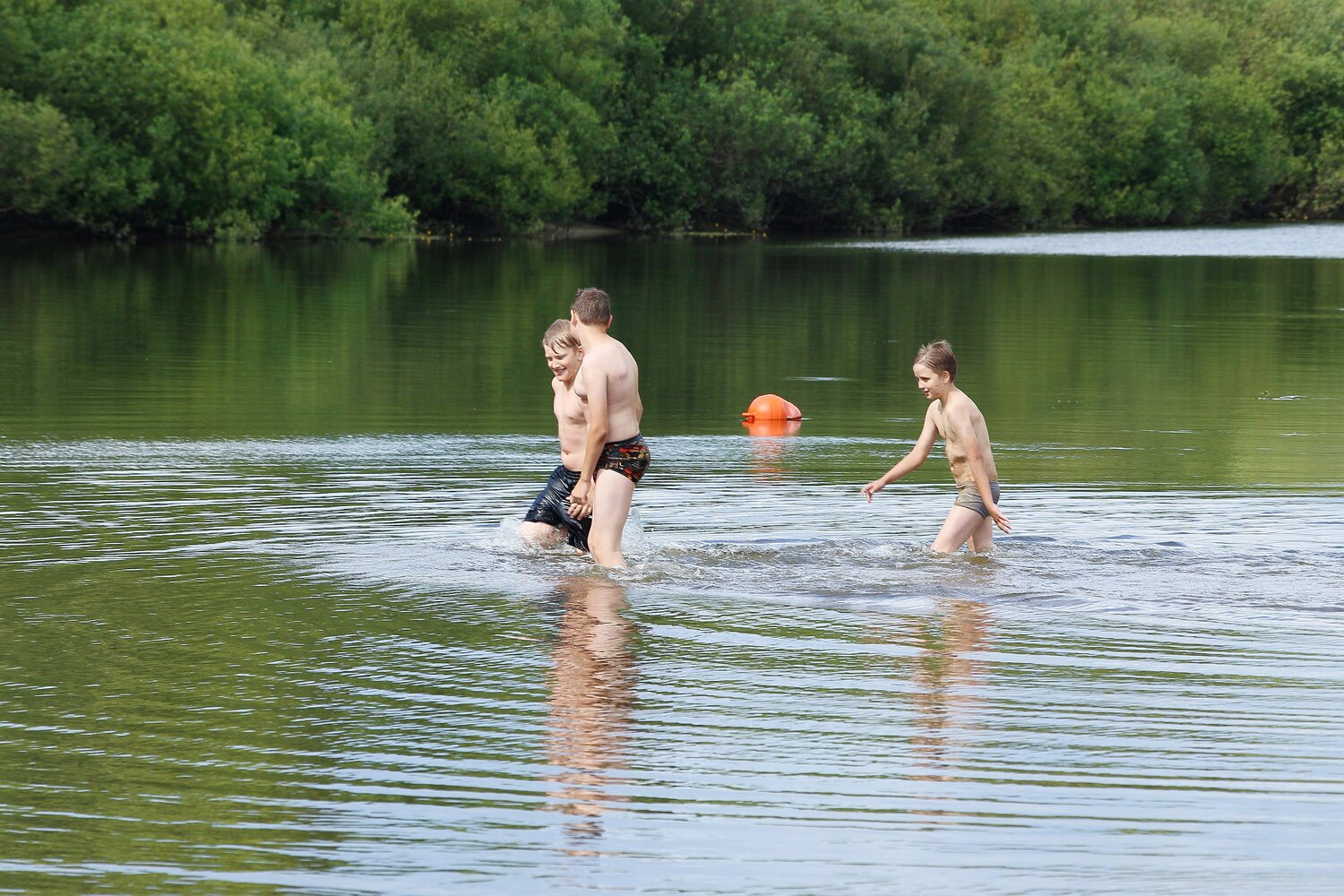 Photo #13927851