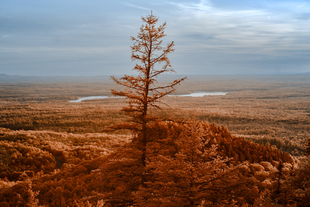 Photograph by Fred Young