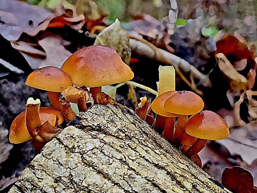 Photograph by Куделенко Оксана