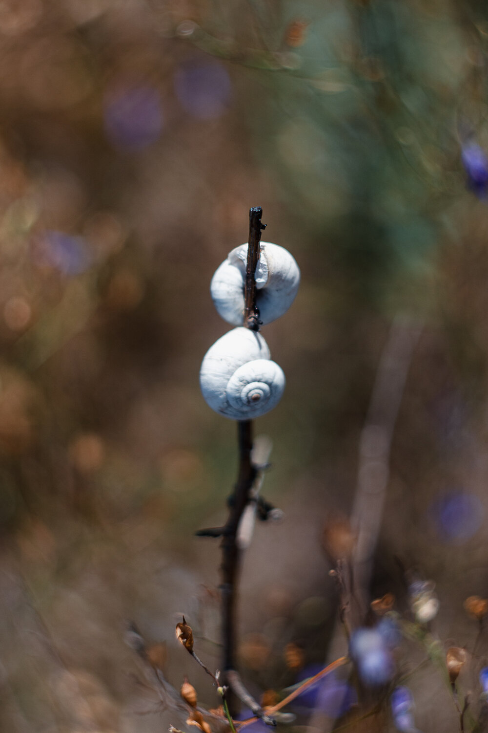 Photo #13928038