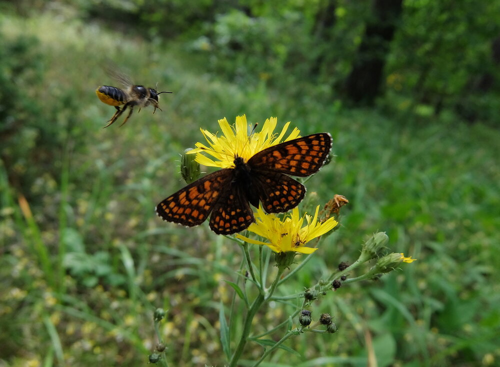 Photograph by Любовь Реутова