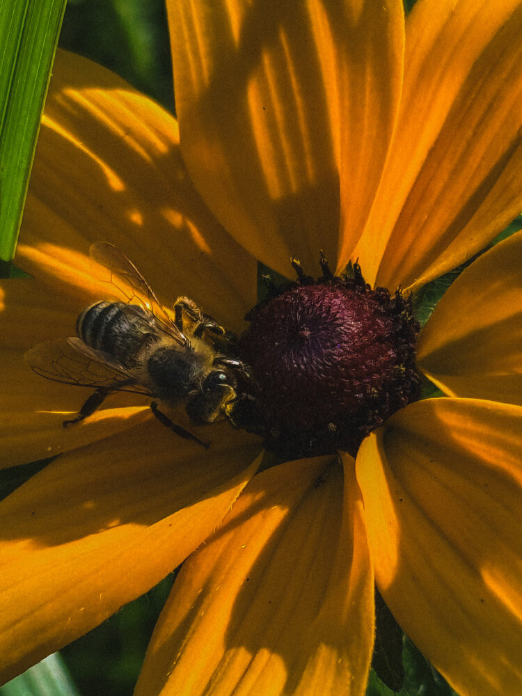 Photograph by Михаил Сорокин