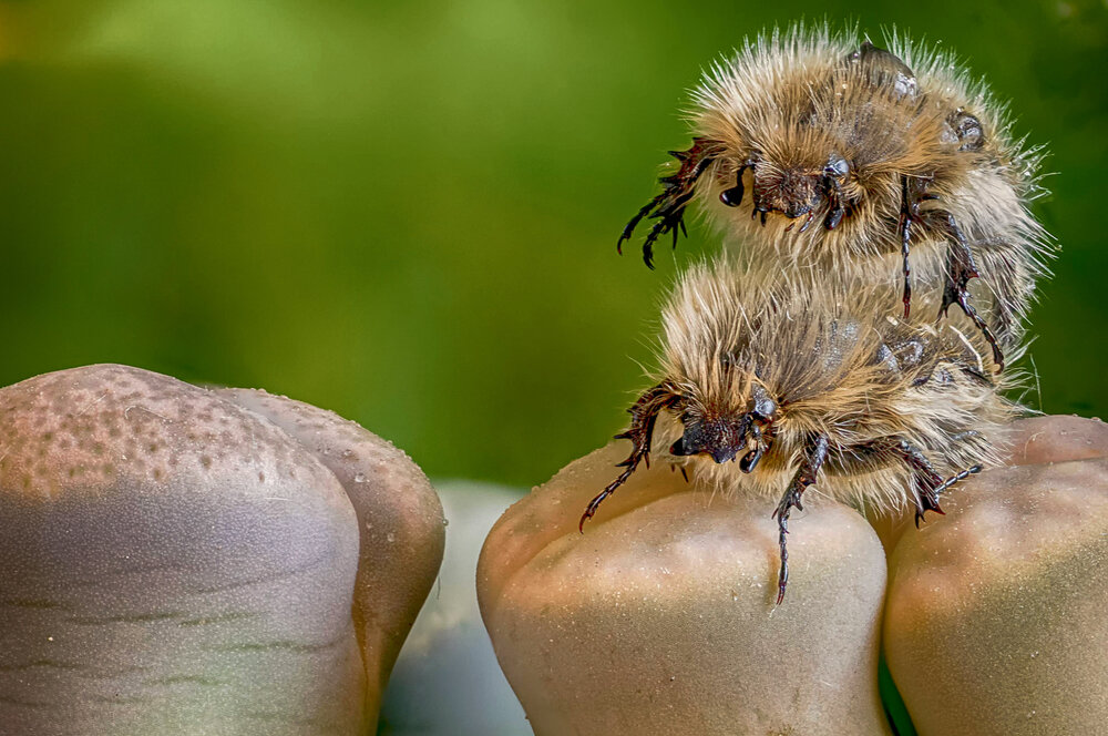 Photograph by Юрий Яковлевич