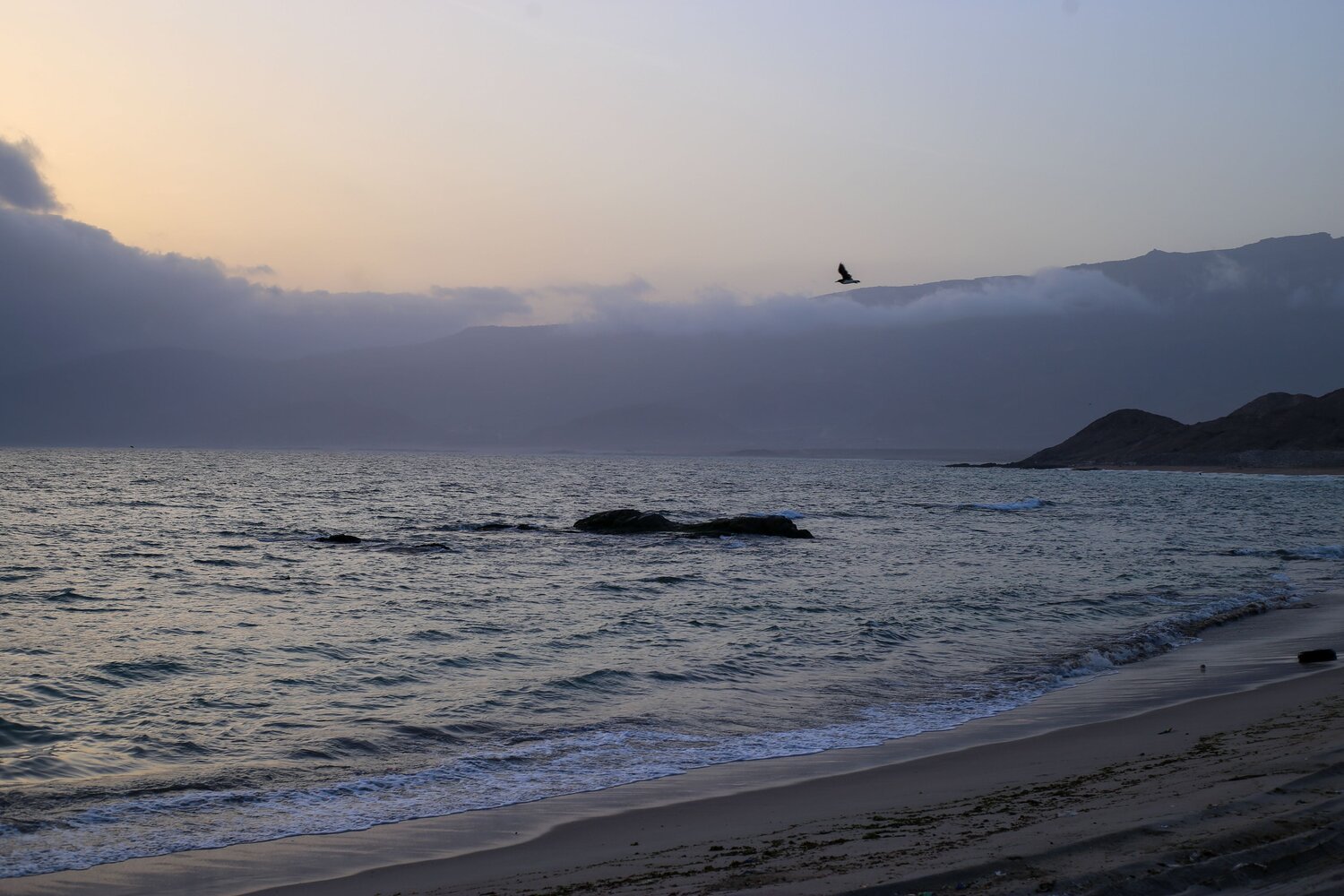Photo #13928238