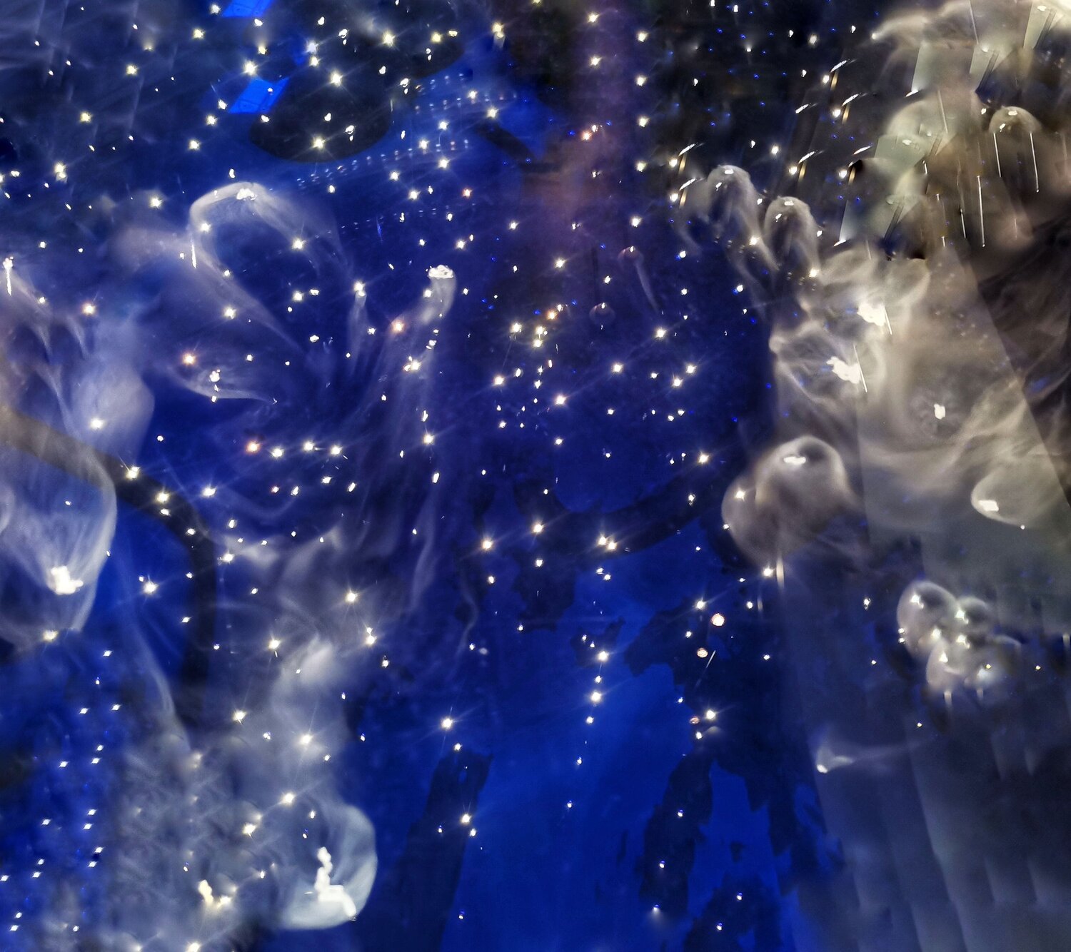 Photo #13928246