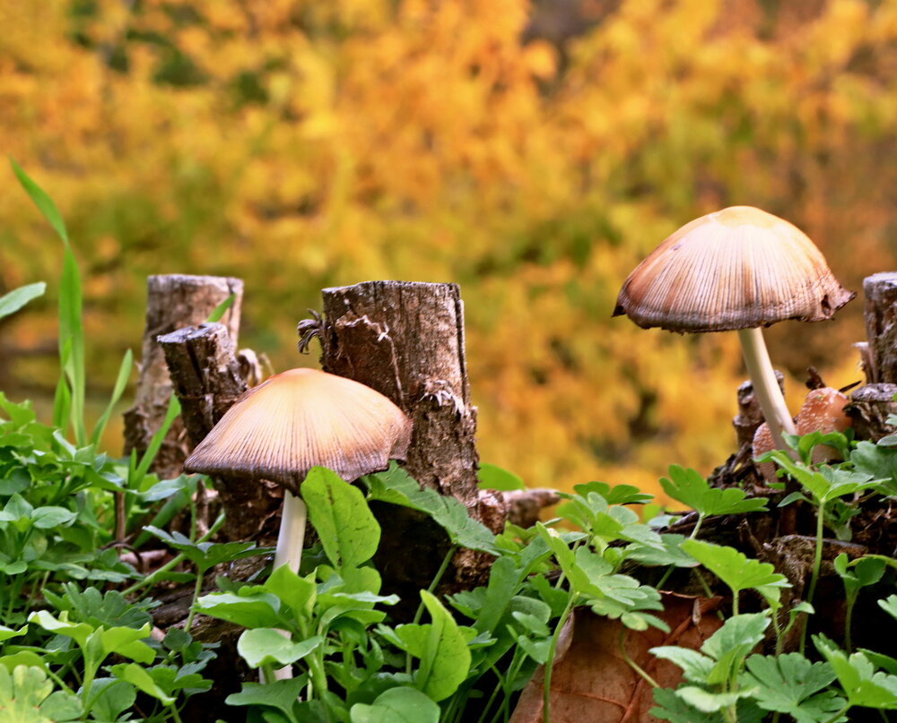 Photograph by Куленко Игорь