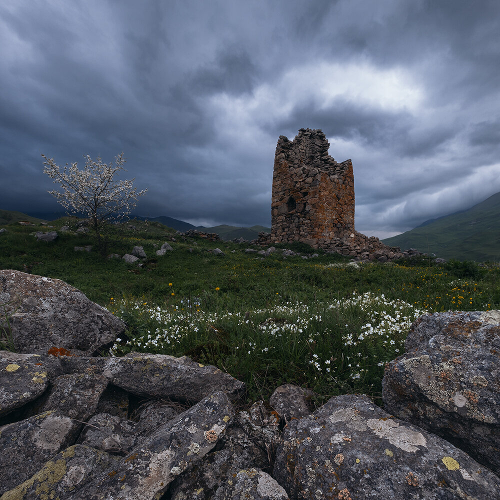 Photograph by Kaiser Sozo