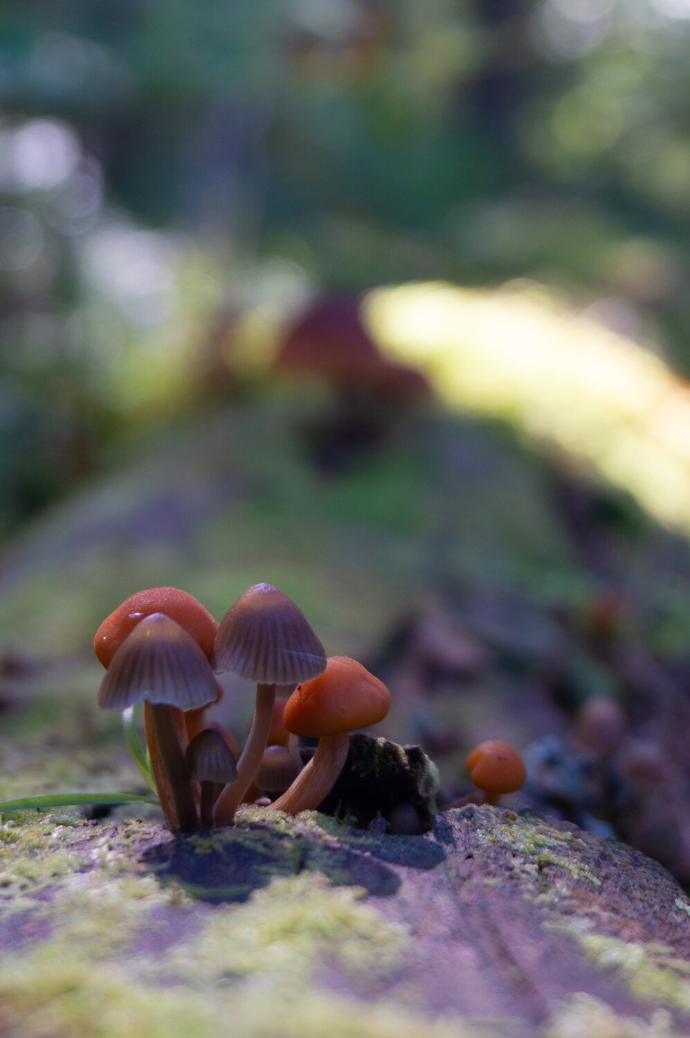 Photo #13928340