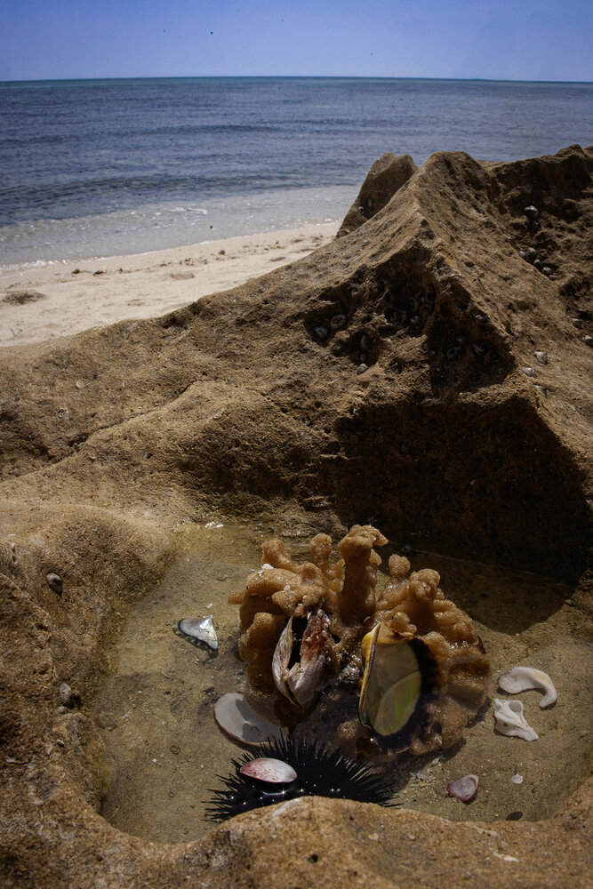 Tide’s Remains