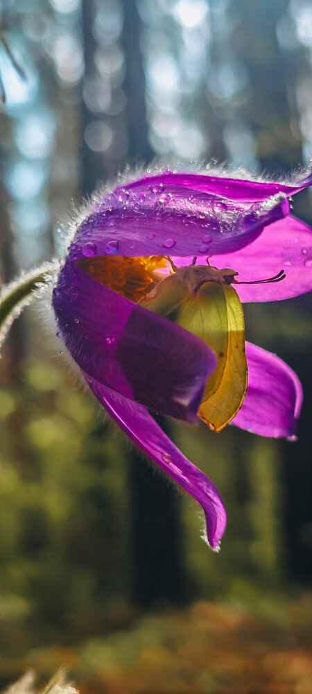 Photograph by Лейсан Авзалова