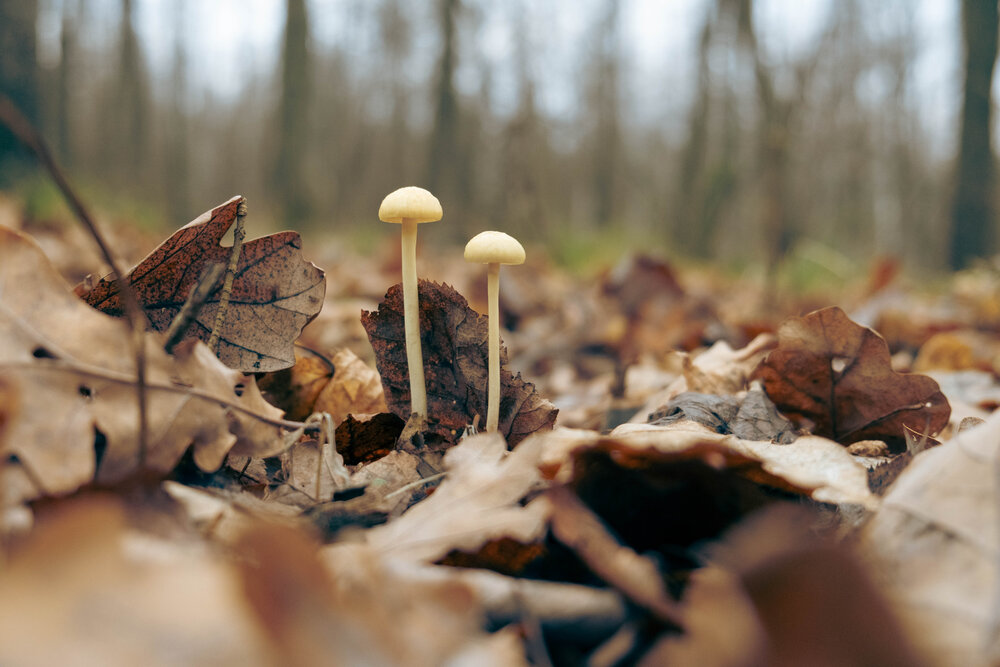 Photograph by Альберт Габбасов