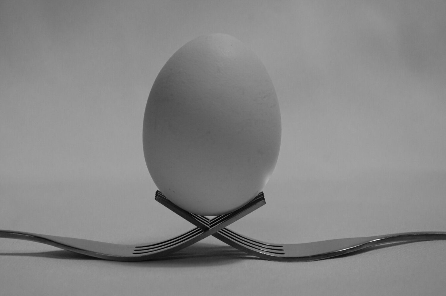 Photo #13928441