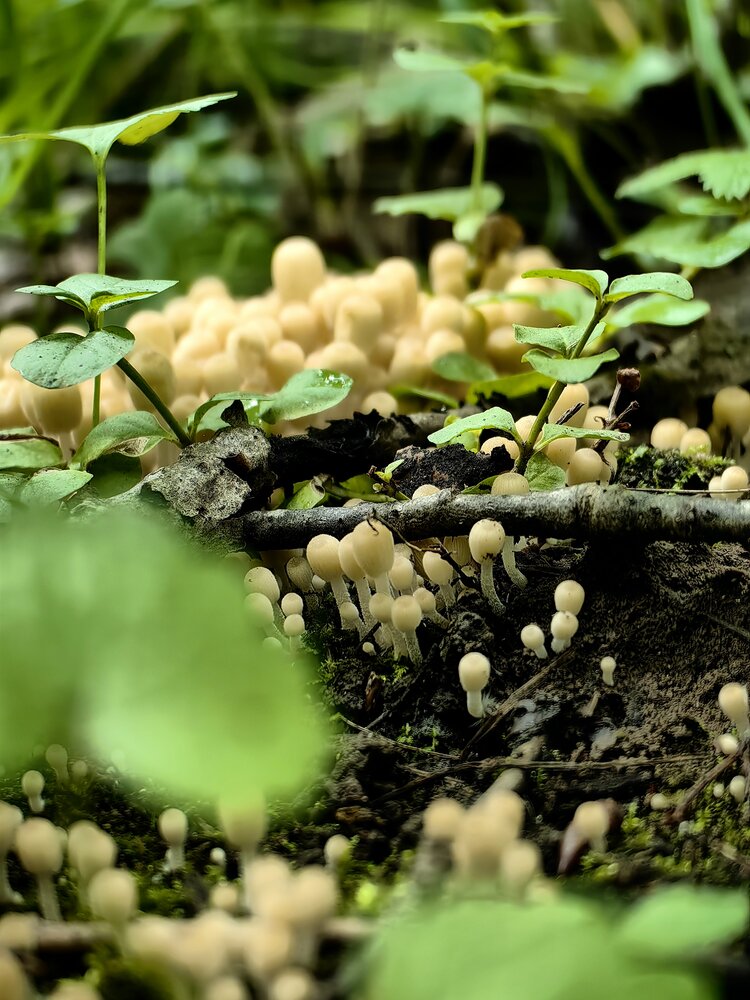 Photograph by Юлия Горелова