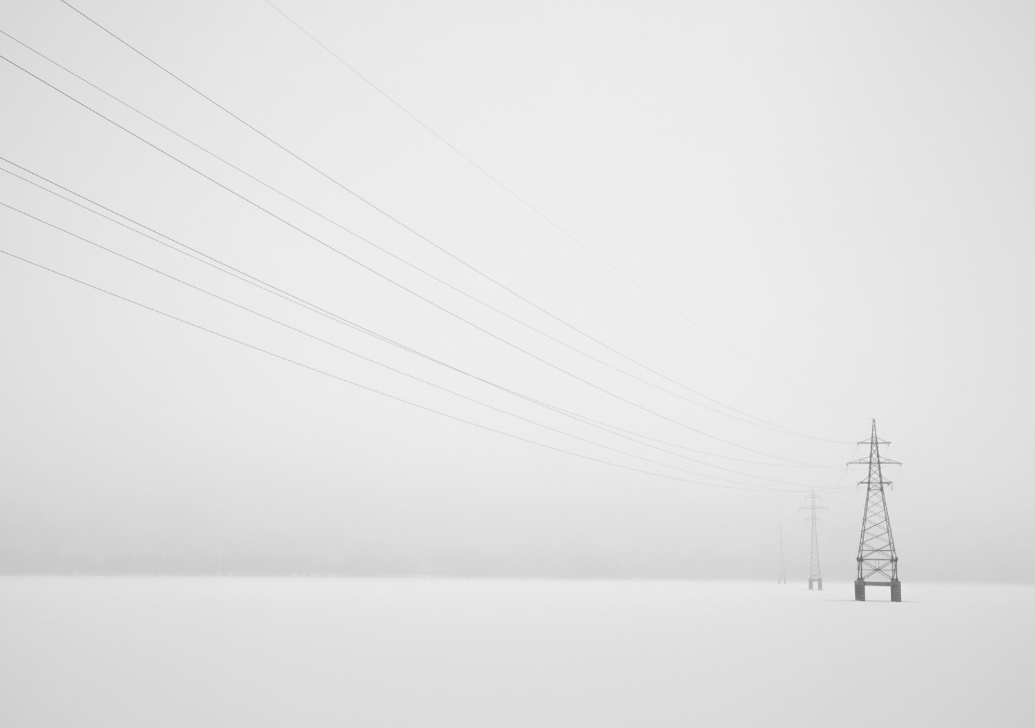 Photo #13928469