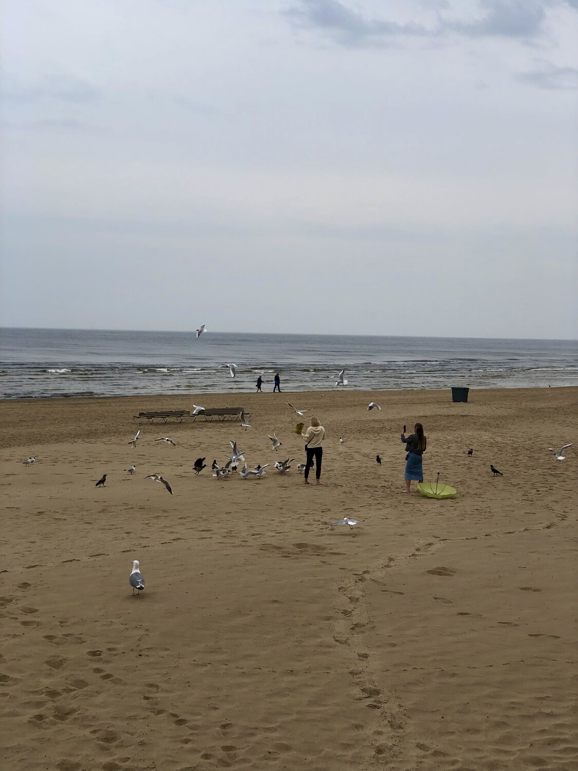 Photo #13928744