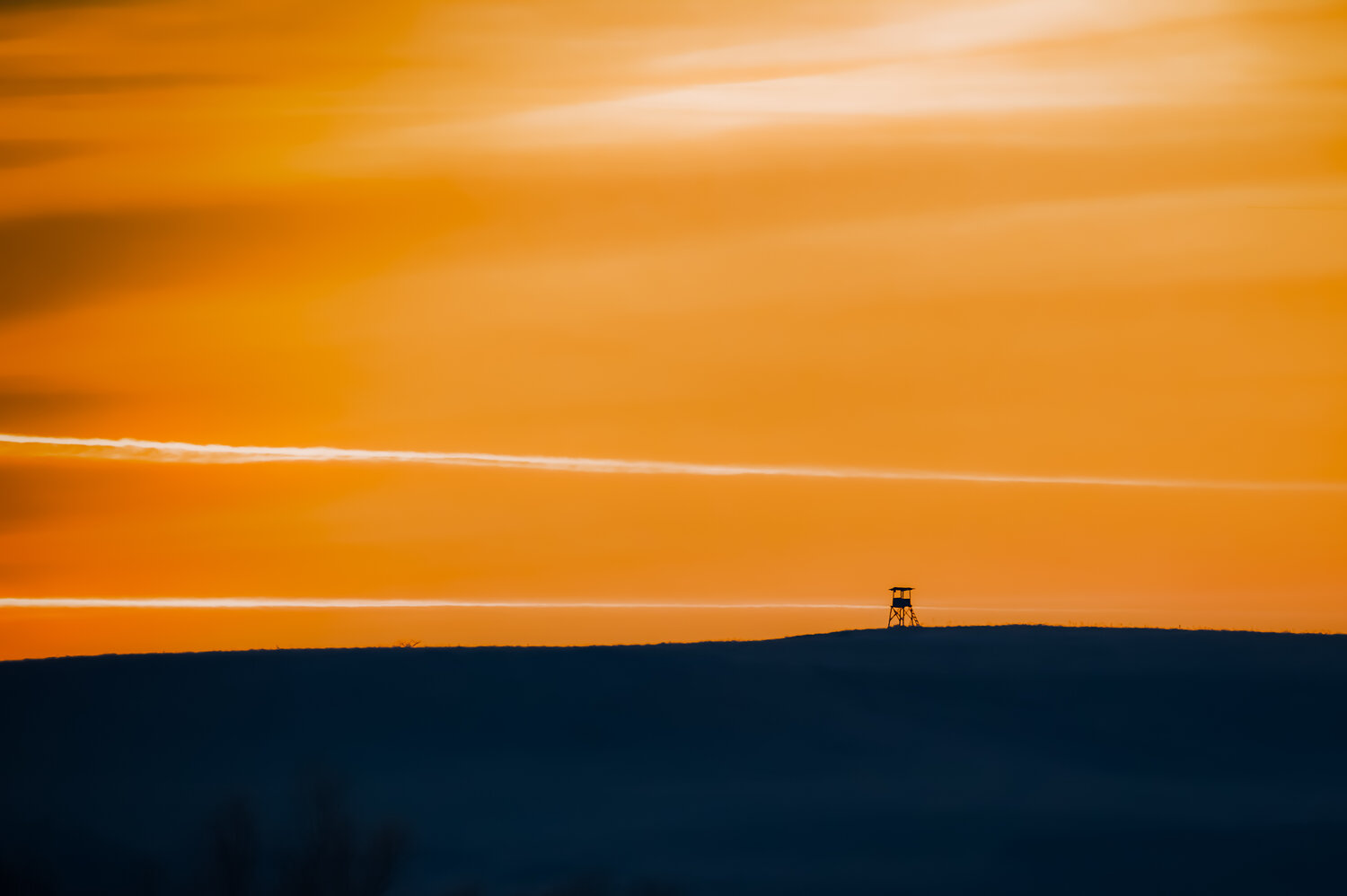 Photo #13928752