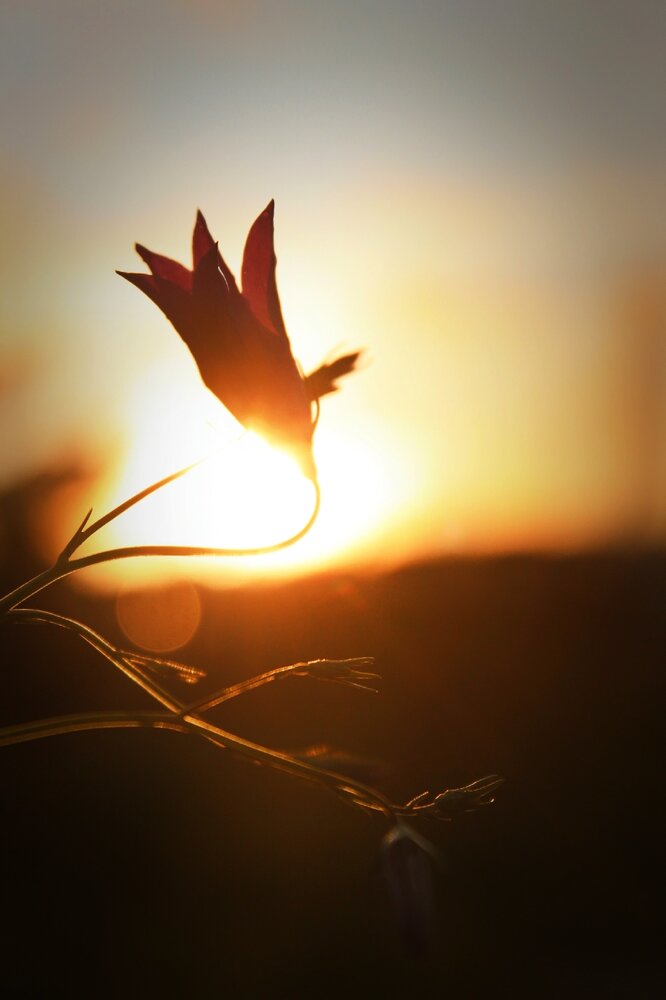 Photograph by Анна Захарчук