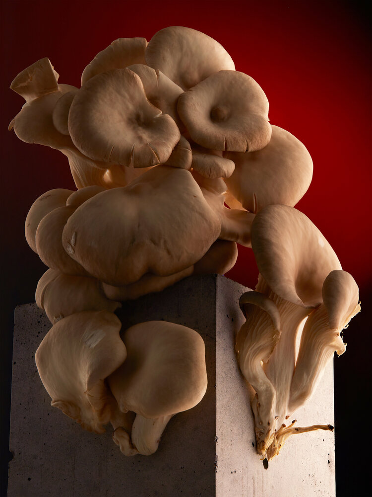 Photograph by Георгий Романов