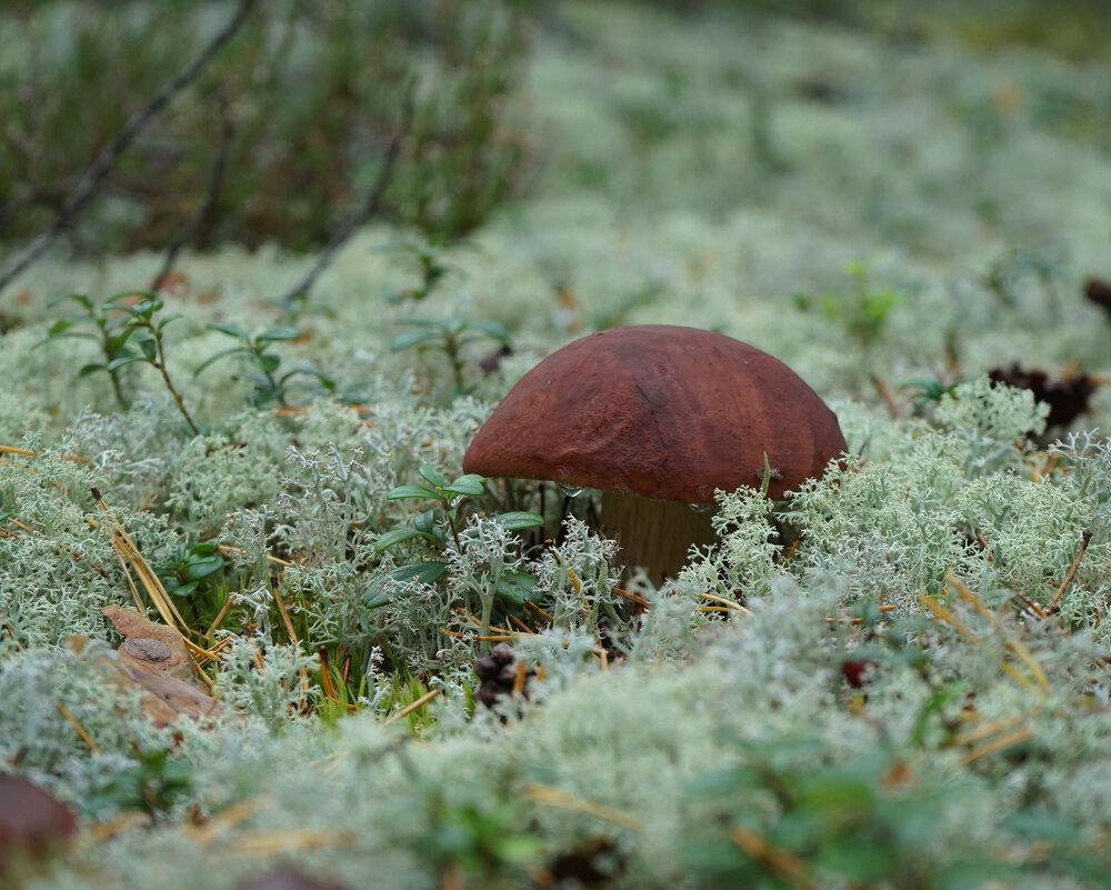 Photograph by Анастасия