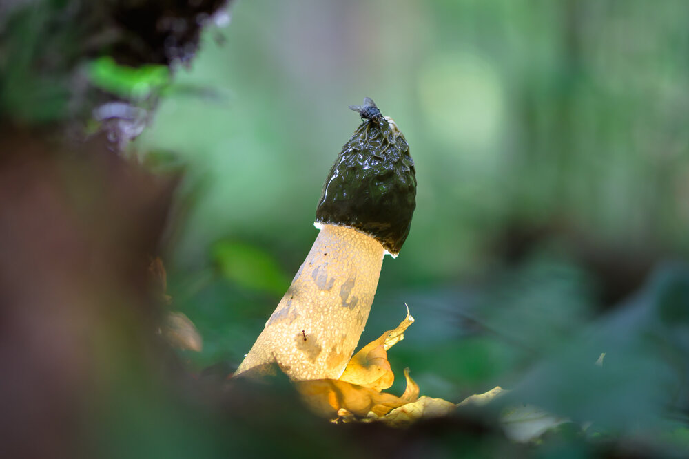 Photograph by Соварцева Ксения
