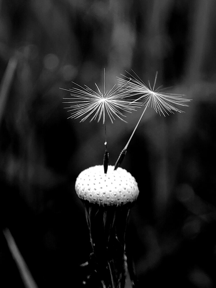 Photograph by Егор Жук