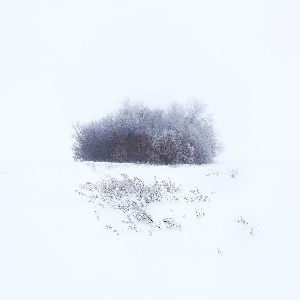 Photograph by Илья Заикин