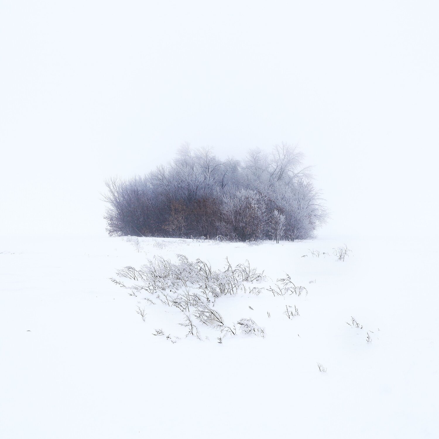 Photo #13928971