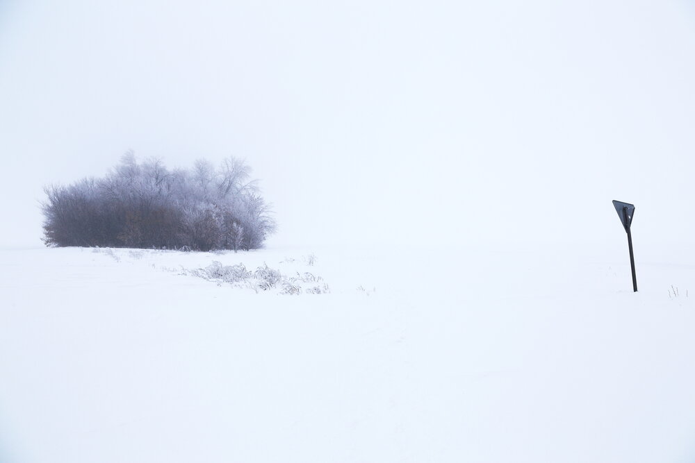 Photograph by Илья Заикин
