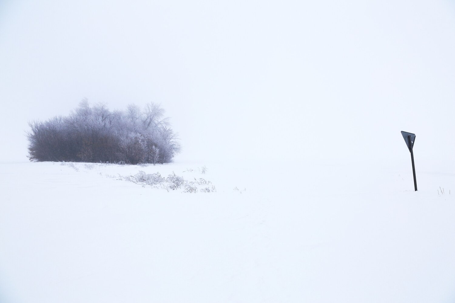 Photo #13928972