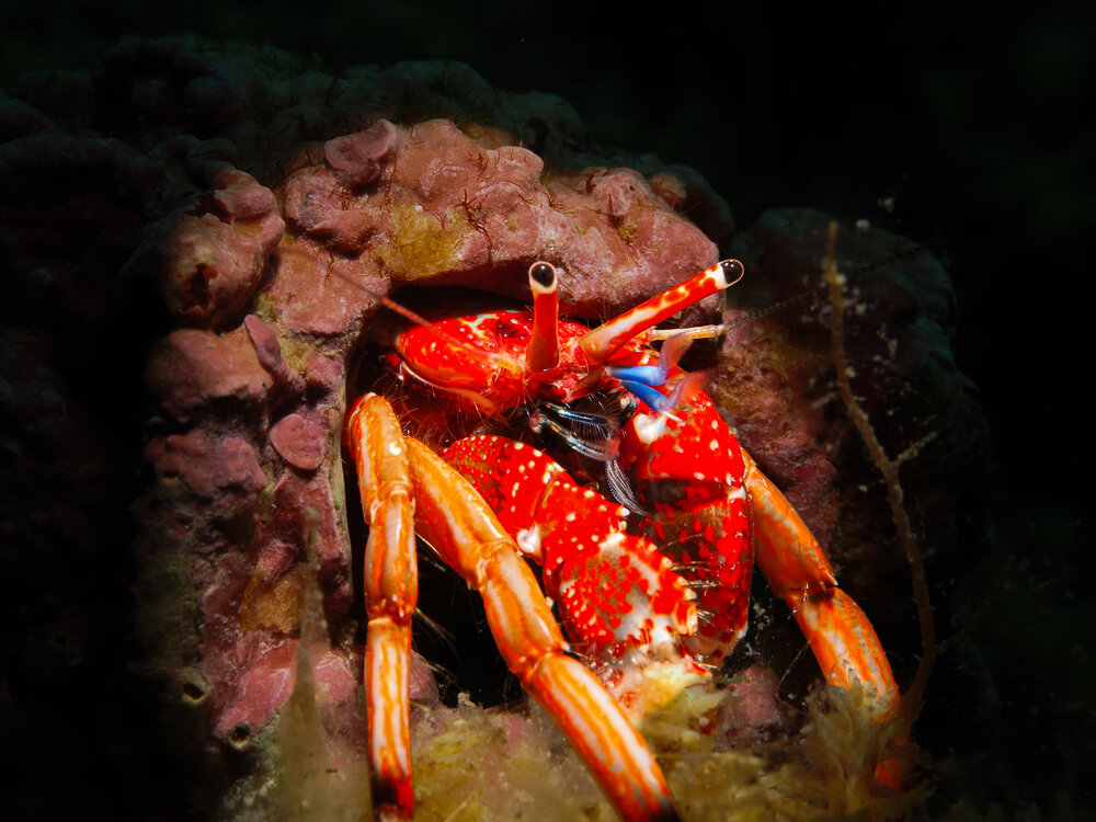Photograph by Harun DUMANLI
