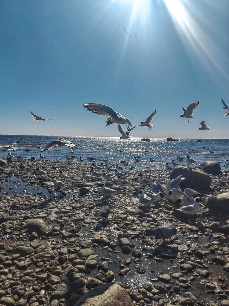 Photograph by Мария Самохвалова