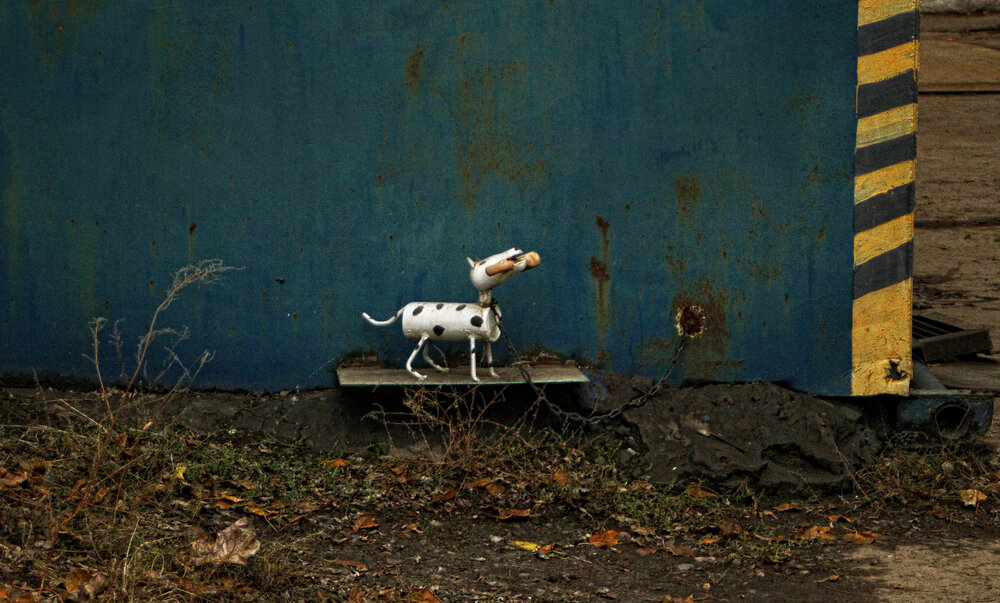 Photograph by Сергей Мордань