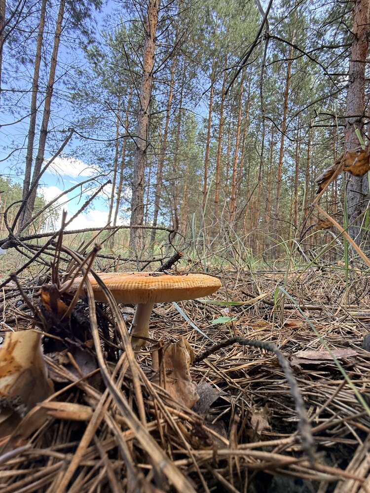 Photograph by Татьяна