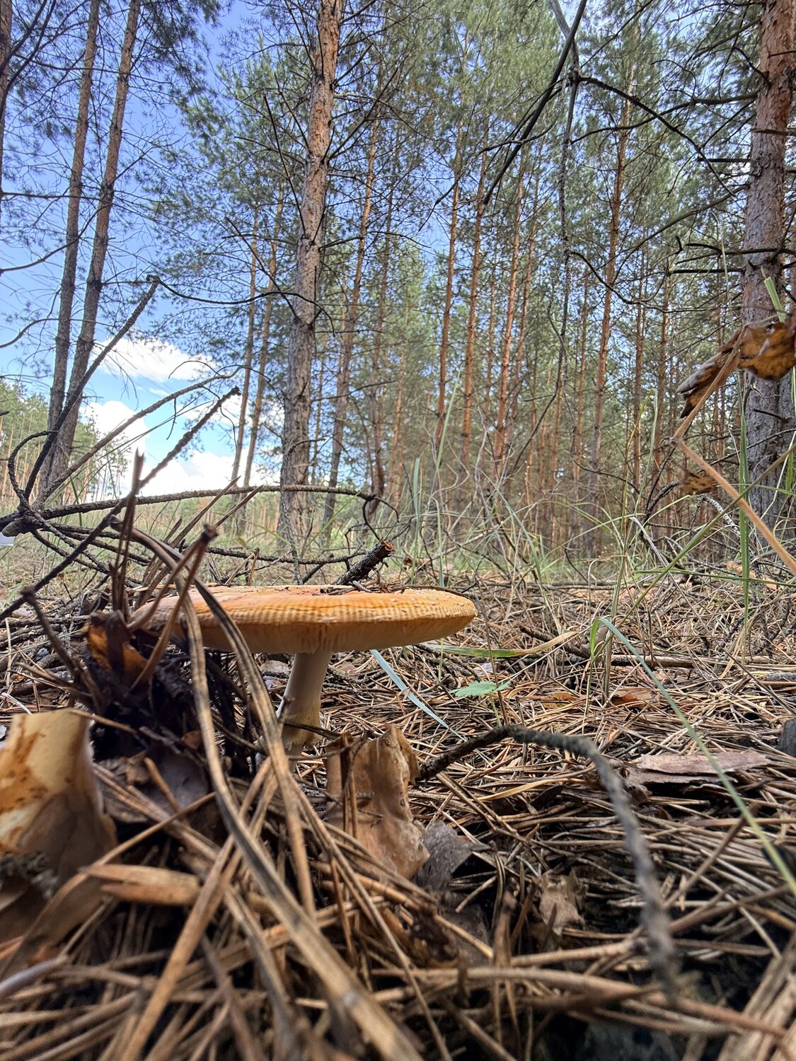 Photo #13929139
